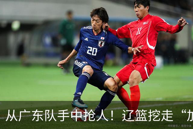 从广东队手中抢人！辽篮挖走“加强版杜润旺”，杜锋痛失锋线新星